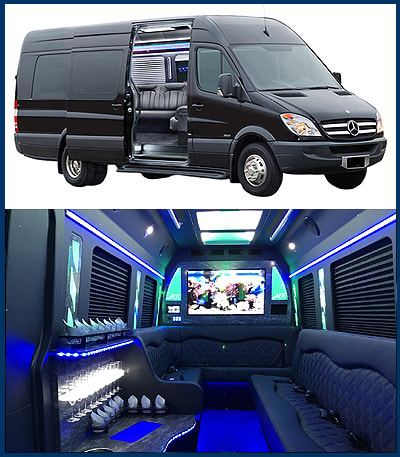 Houston Christmas Lights Limousine and Party Bus Tours